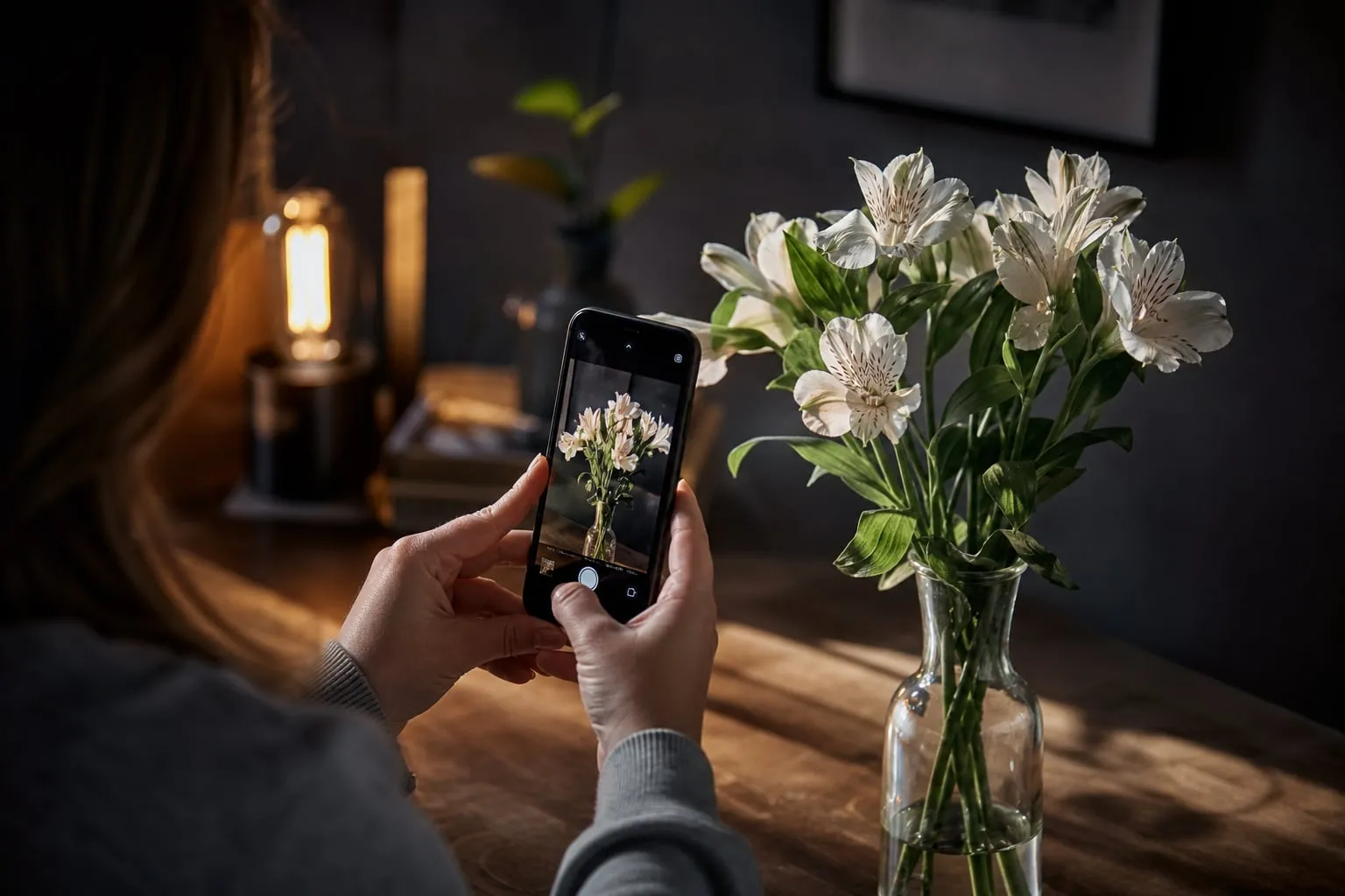 Como fotografar flores com celular sem usar o macro